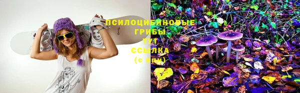 spice Армянск
